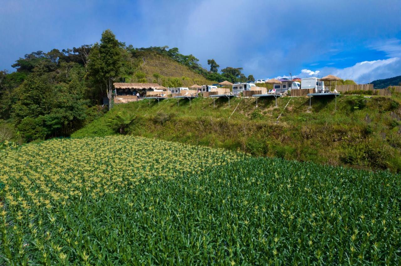 Stellar Goldenhill Cameron Tanah Rata Exterior foto