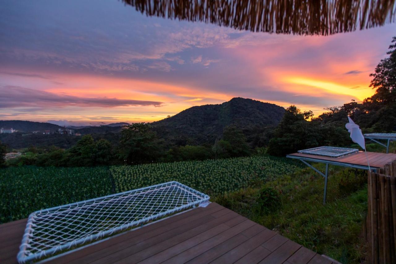 Stellar Goldenhill Cameron Tanah Rata Exterior foto