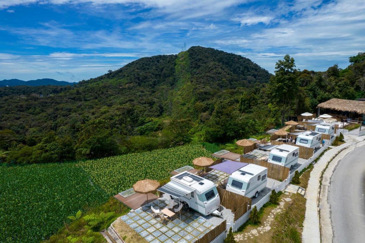 Stellar Goldenhill Cameron Tanah Rata Exterior foto